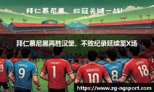 NG体育官网
