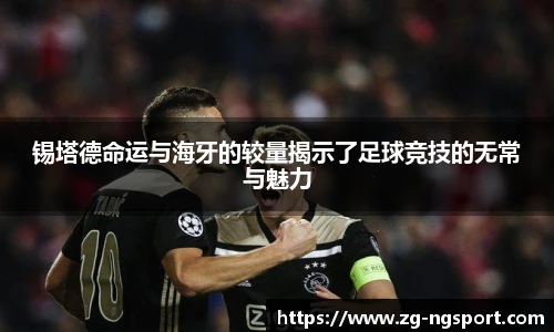 锡塔德命运与海牙的较量揭示了足球竞技的无常与魅力