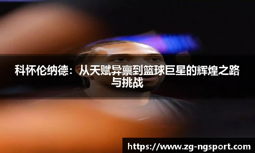 NG体育娱乐