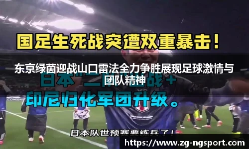 南宫NG体育